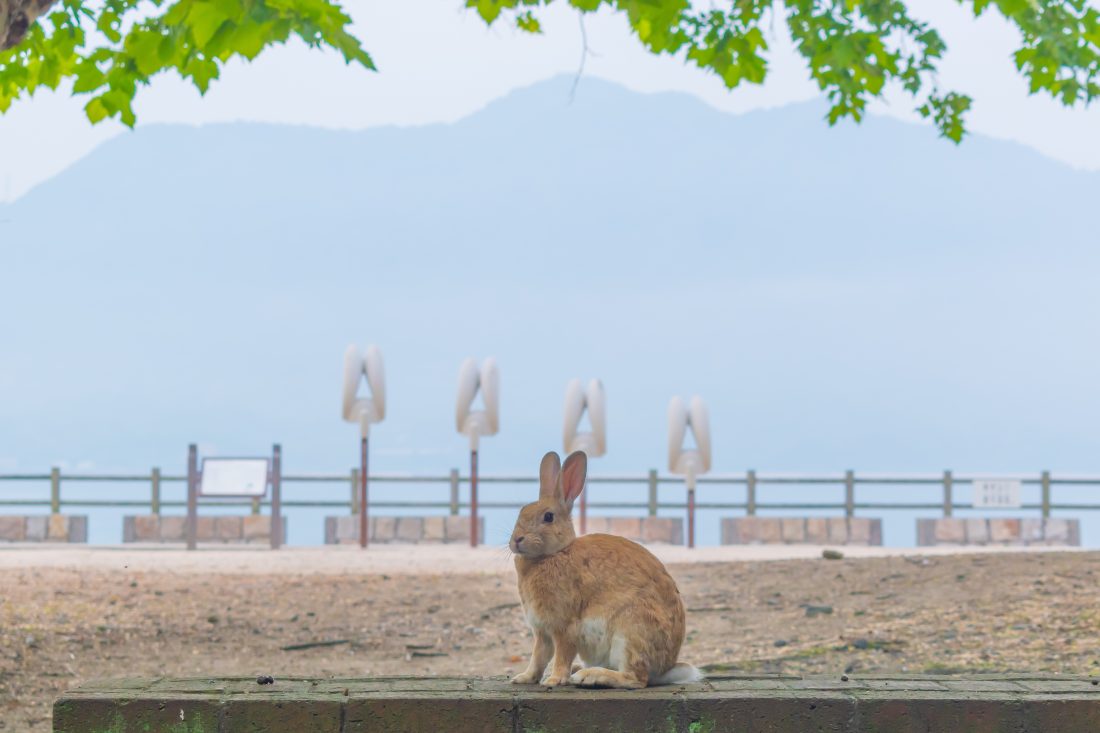 Hiroshima Seto Inland Sea Tour – Full